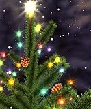 xmas_tree.jpg image by TreeplaX